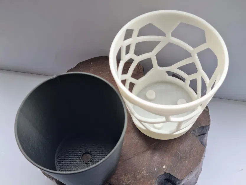 CHẬU TRỒNG XƯƠNG RỒNG & HOA NHỎ KIỂU VORONOI - Image 6