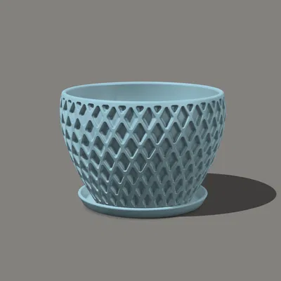 Chậu Cây & Đĩa Lót