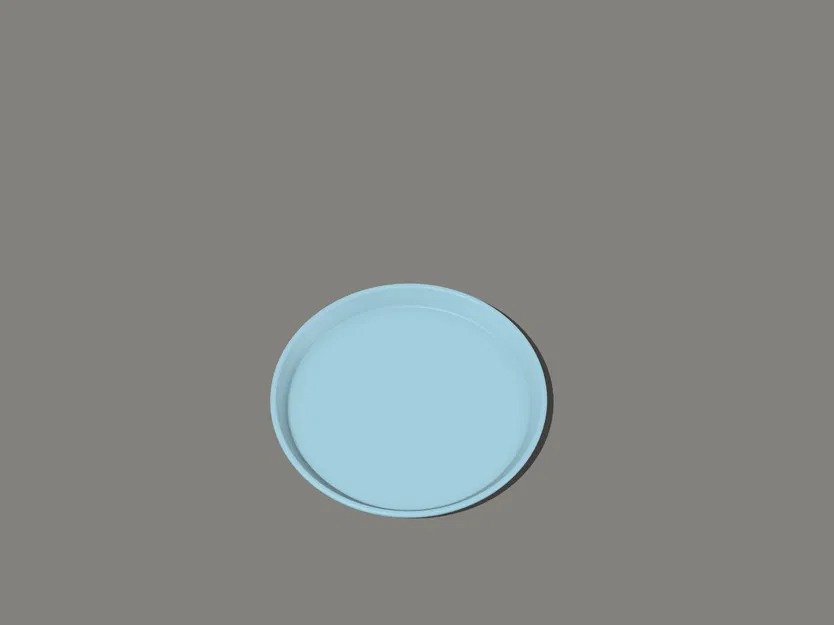 Chậu Cây & Đĩa Lót - Image 3