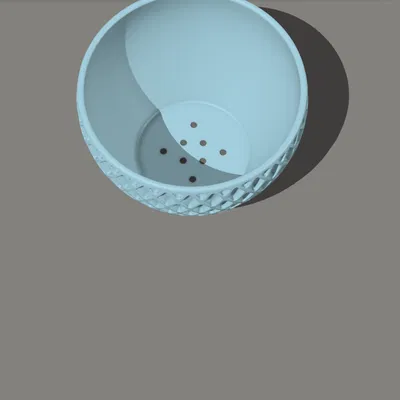 Chậu Cây & Đĩa Lót