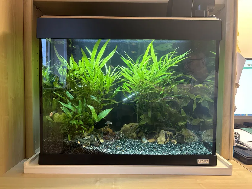 Chậu Cây Thủy Sinh x5 Chậu Tiêu Chuẩn - Image 1