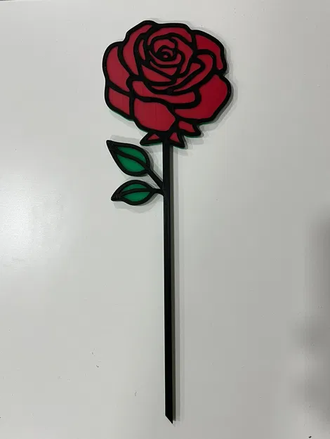 Hoa Hồng Valentine Đa Sắc - Image 2