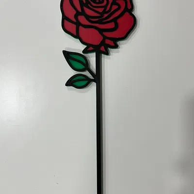 Hoa Hồng Valentine Đa Sắc