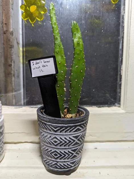 (LMP) Cọc Dấu Cây - Image 1