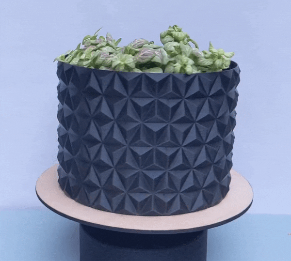 Chậu Cây Kiểu Cổ Điển - Chế Độ Vase Mode - Thumbnail 1