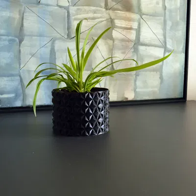 Chậu Cây Kiểu Cổ Điển - Chế Độ Vase Mode