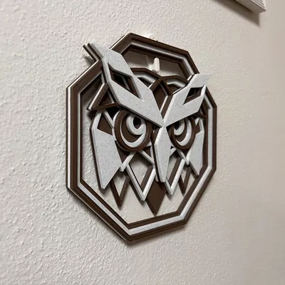 Trang trí Hình con Cú