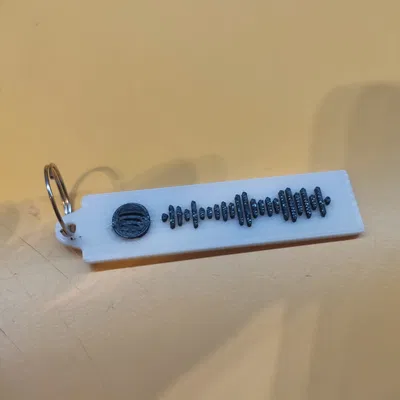 Móc khóa Spotify: "Niggas in paris"