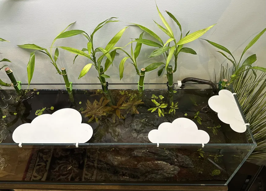 Bóng Mây Vui Vẻ Cho Hồ Cá - Image 1