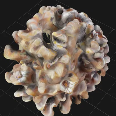 Cá cảnh Trang trí - San hô 2