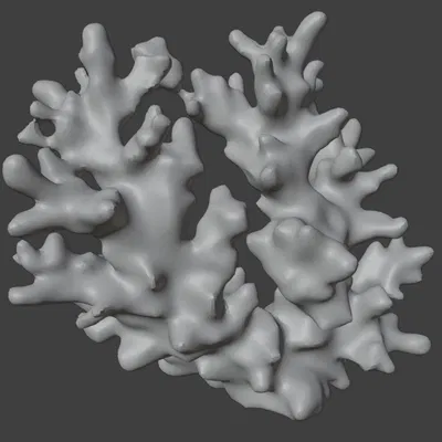 Trang trí Hồ Cá - Nhánh San Hô