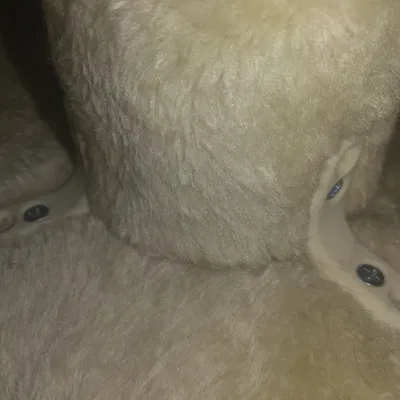 Pát Góc Chân Cây Mèo