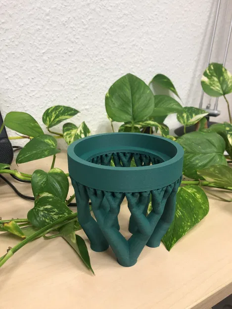 Cá Bay Aqualift - Cho Cá Khám Phá Thế Giới - Image 1