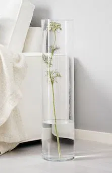 Cá Bay Aqualift - Cho Cá Khám Phá Thế Giới - Image 3