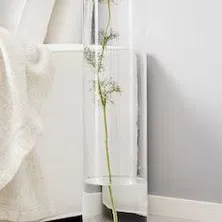 Cá Bay Aqualift - Cho Cá Khám Phá Thế Giới