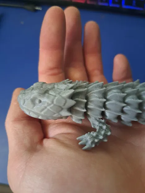 Thằn Lằn Tatu Khớp Nối - Image 2