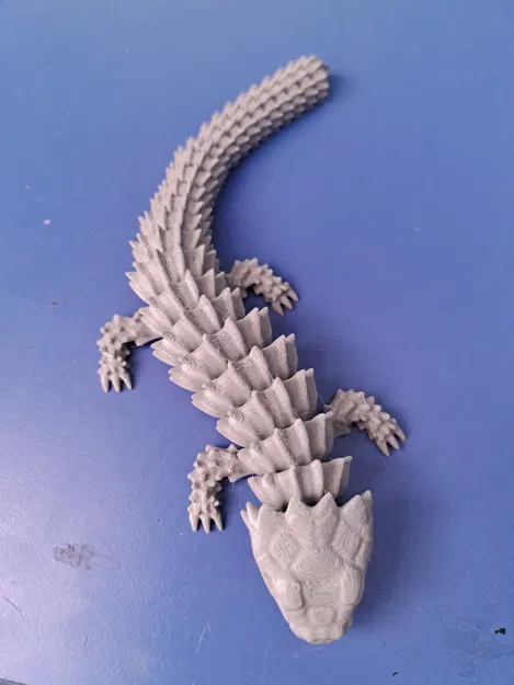 Thằn Lằn Tatu Khớp Nối - Image 3