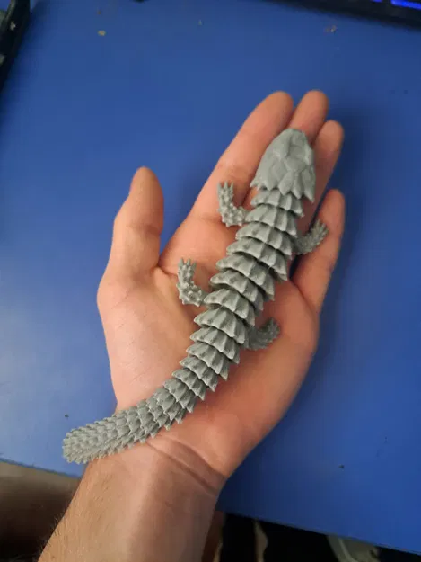 Thằn Lằn Tatu Khớp Nối - Image 4