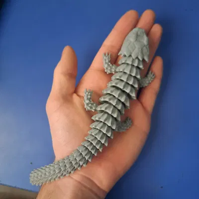 Thằn Lằn Tatu Khớp Nối