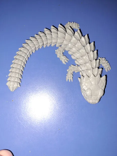 Thằn Lằn Tatu Khớp Nối - Image 5