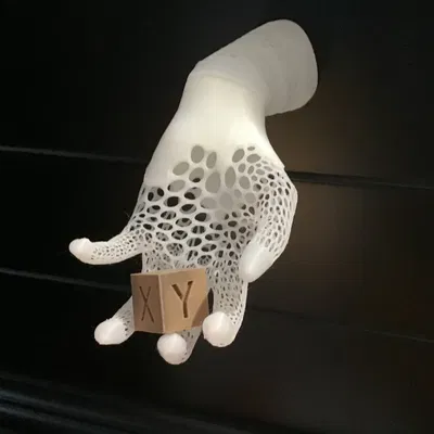 Bàn Tay Giúp Đỡ | Vật Trang Trí Voronoi Hữu Ích | V1.1