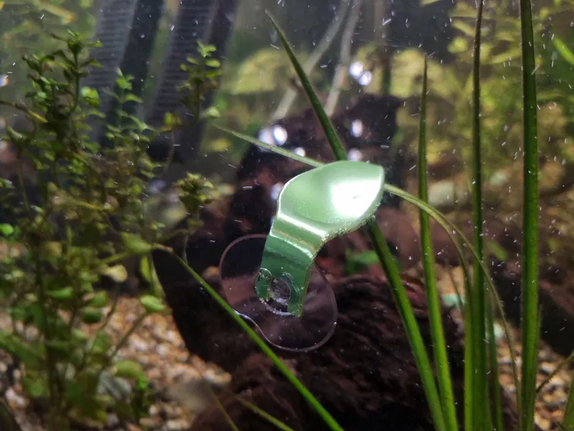 Lá Nghỉ Cho Cá Betta - Image 4