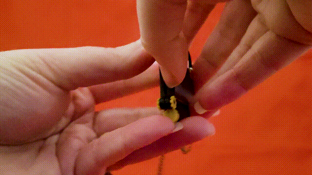 Mặt Dây Chuyền Fidget Valentine Cổ Điển - Image 4