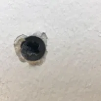 Chốt Thạch Cao (Plasterboard_dowel)