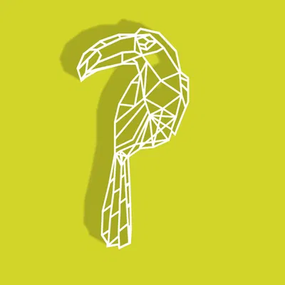 Chim Toucan Hình Học