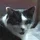 JeanLamine_1069148