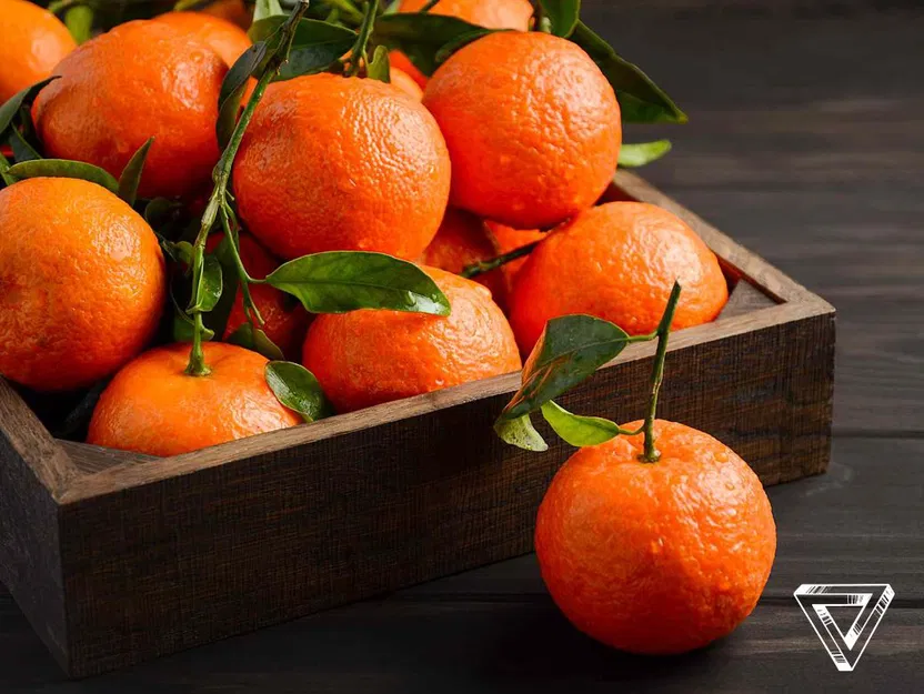 Mô hình 3D Trái Clementine (Đã scan) - Image 2