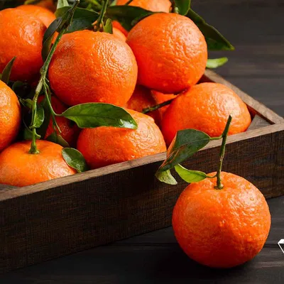 Mô hình 3D Trái Clementine (Đã scan)