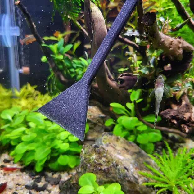 Dụng cụ cào cảnh - Người bạn thân thiết của dân chơi thủy sinh - Image 1