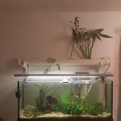 Khung Gắn Đèn Hồ Cá Kết Hợp Aquaponics