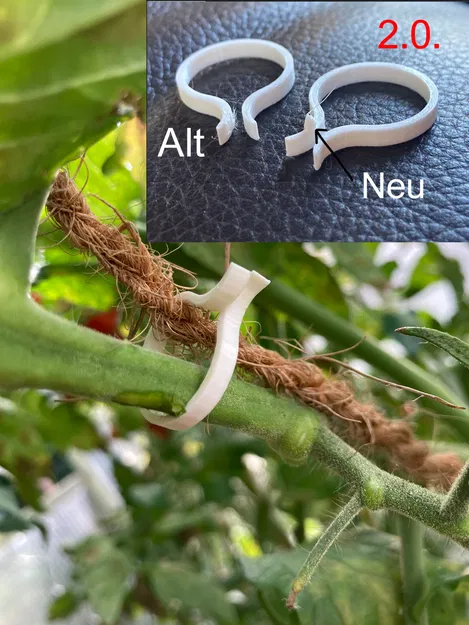 Kẹp Cà Chua 2.0 - Image 1