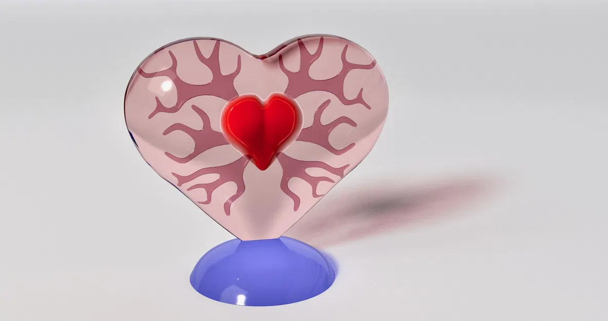 Trái Tim Đập - Tác Phẩm Điêu Khắc Valentine - Image 1