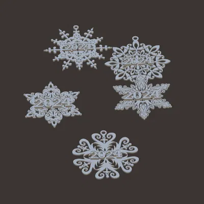 Bông Tuyết 2024 - Chỉnh Sửa