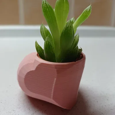 Chậu hình trái tim đa giác có lỗ cho cây mọng nước IKEA Haworthia