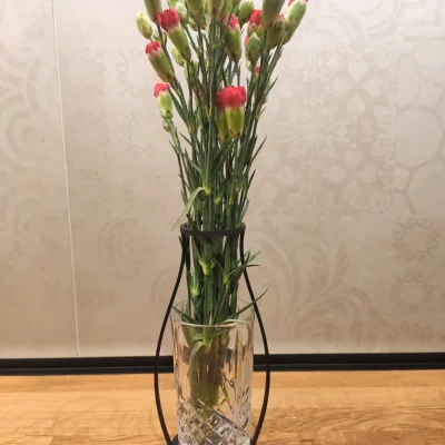 Chậu Hoa Tối Giản 6