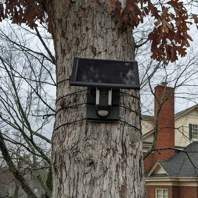 Giá Treo Camera Ring Hình Vòng Cây