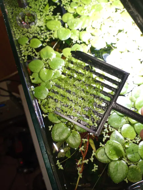 Dụng Cụ Vớt Rác Nổi Hồ Cá - Image 1