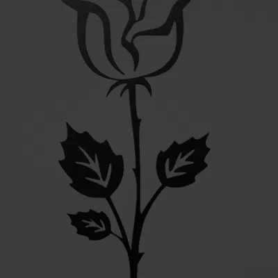 Hoa hồng silhouette Ngày Tình Nhân