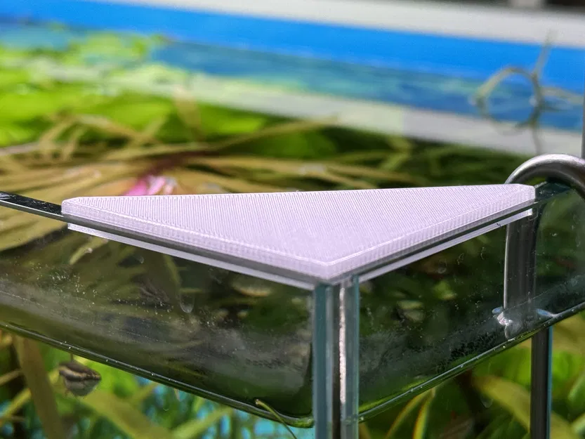 Chặn Cá Nhảy Ra Ngoài - Image 2