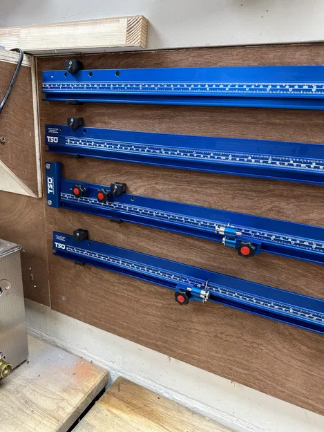 Giá Đỡ Ray Song Song TSO - Image 4