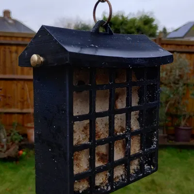 Máng ăn chim hình khối mỡ / suet