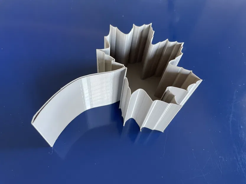 Lá của các loài cây khác nhau - Image 1