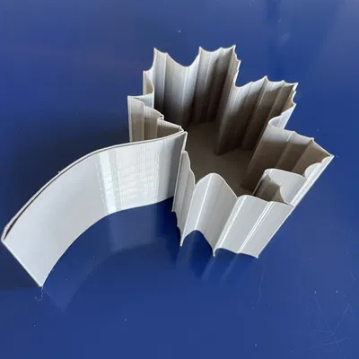 Lá của các loài cây khác nhau