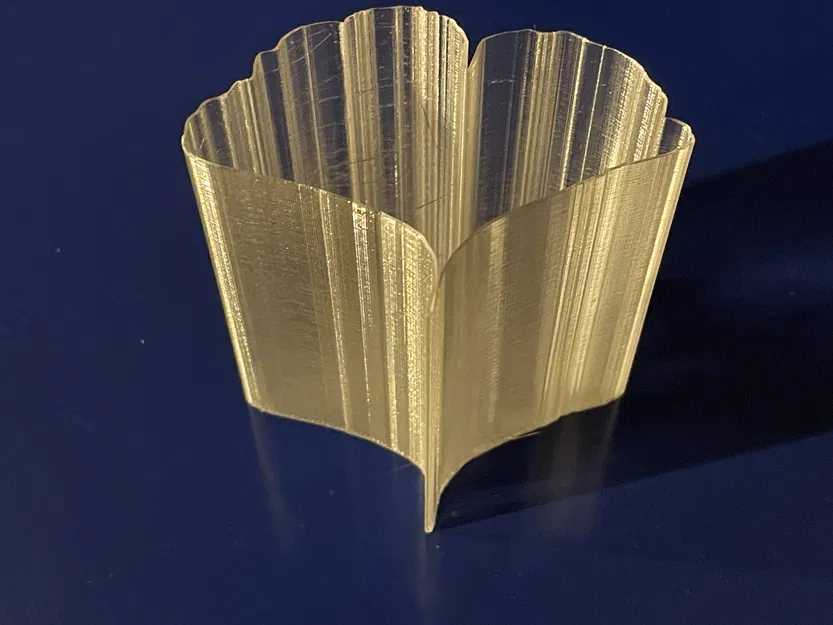 Lá của các loài cây khác nhau - Image 2