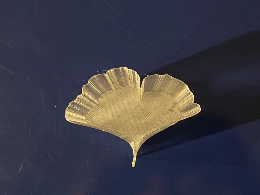 Lá của các loài cây khác nhau - Image 3