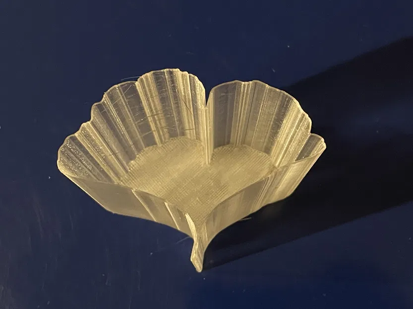 Lá của các loài cây khác nhau - Image 5